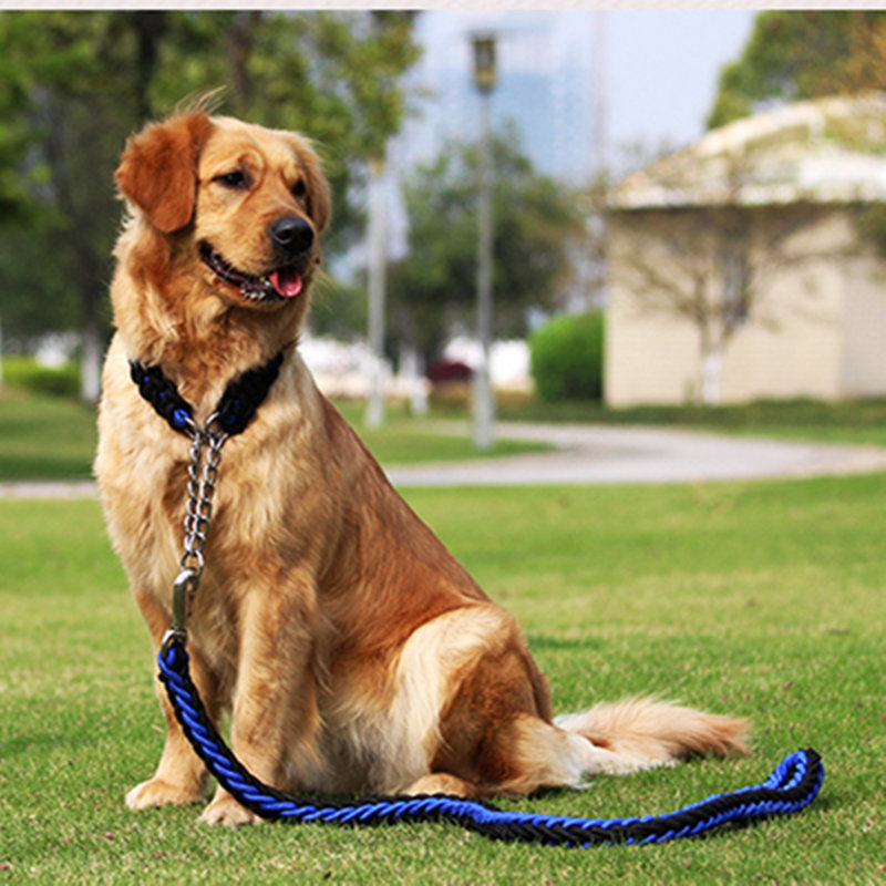 как ухаживать за животным собаку?какая собака есть pregn