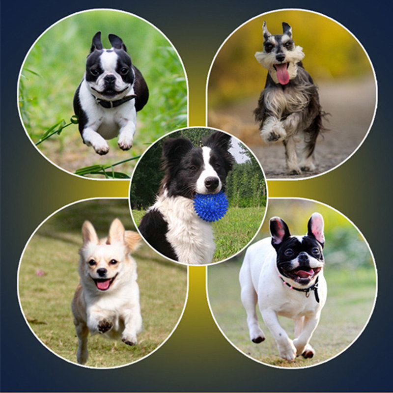 как уменьшить разрушительную мощь собак