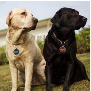 2018 Hot Sale Dog или Cat ID Tags Гравированный или QR-код Pet Tag