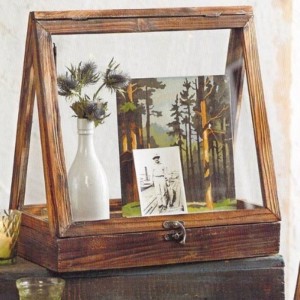 Стеклянная витрина