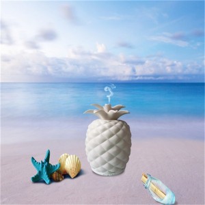 2018 новые изобретения уникальный ананасообразный керамический ароматический диффузор