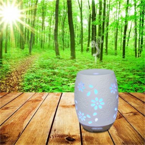 Много запросов популярный уникальный керамический аромат масла увлажнитель диффузор