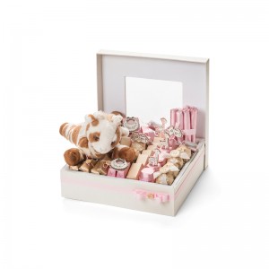 Горячая продажа макарон упаковочная коробка с крышкой макарон дизайн коробки