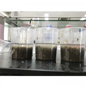 Цена катионного полиакриламида для очистки городских сточных вод