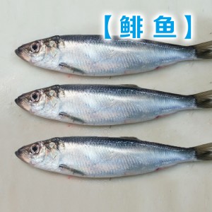 Замороженная сельдь