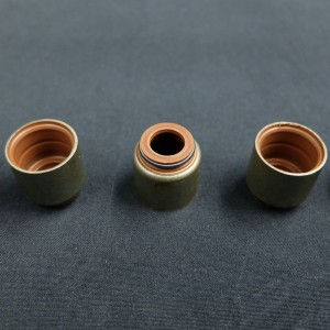 Китай поставщик сальник штока клапана для автомобилей Renault