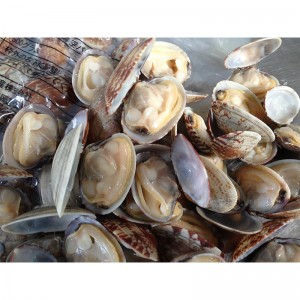 ВАКУУМНАЯ ОБОЛОЧКА