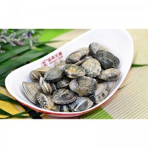 ЗАМОРОЖЕННАЯ ОБОЛОЧКА