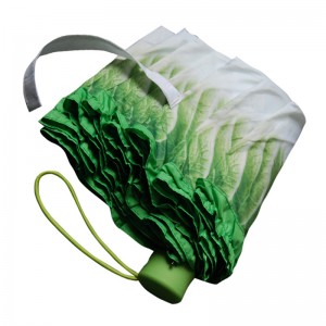 Цифровая печать капуста овощной зонт специальный уникальный дождь зонтик 3 раза ручной открытый зонт