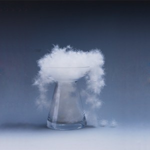 Натуральная утка, материал из гусиного пуха