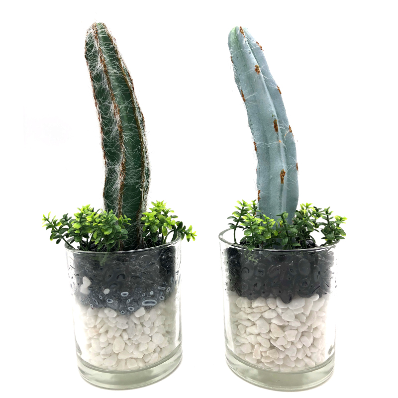 Искусственный кактус в декоративном стеклянном горшке из искусственного суккулента для дома или офиса