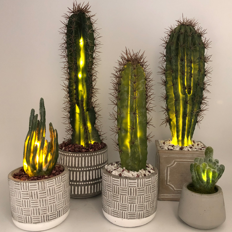 LED искусственный кактус в декоративном стеклянном горшке из искусственного суккулента