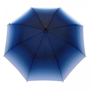 23inch Автоматический открытый градиент цвета ткани маркетинг прямой зонт