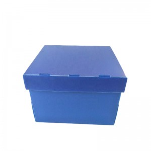 Фруктово-овощная коробка