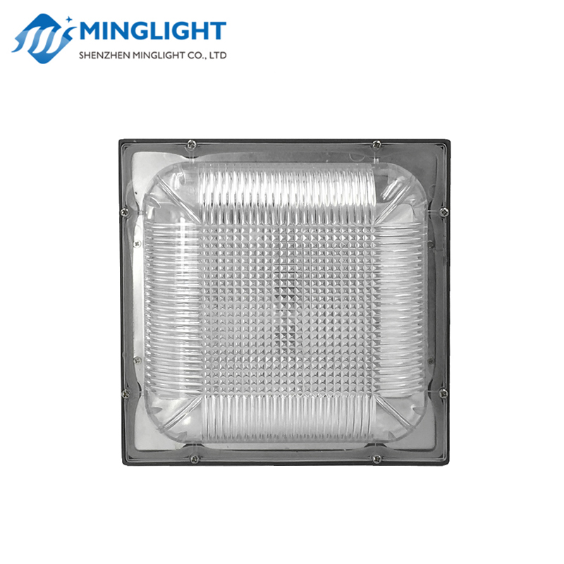 Светодиодный свет навеса CNPA 100W