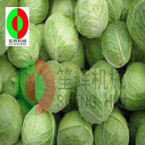 Машина для производства капусты TX-1000