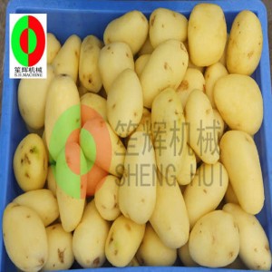 Машина для очистки плодов дыни / Машина для очистки плодов дыни / Машина для чистки щеток для фруктов дыня QX-612 new