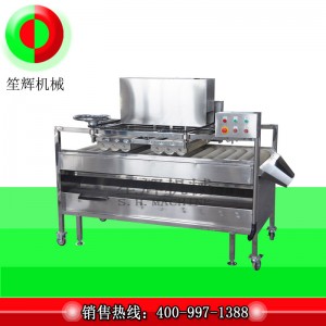 Очиститель фруктов / Очиститель фруктов / Очиститель фруктовых щеток (Глубокая очистка) QM-2