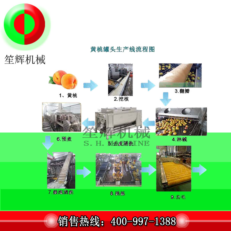 Линия по переработке больших фруктов / линия по переработке желтого персика
