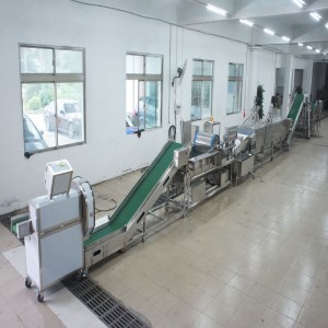 Производственная линия по уничтожению большого лука-порея