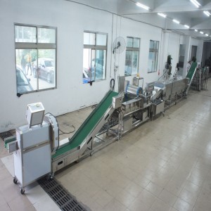 Производственная линия по уничтожению большого лука-порея