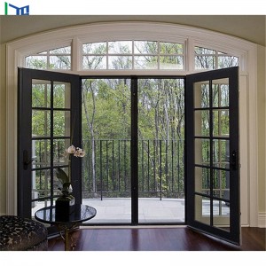 Алюминиевые стеклянные двери с двойным остеклением