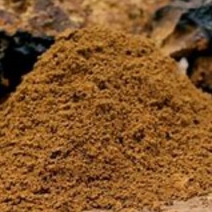 Ingaotus гриба Chaga не заботится о здоровье