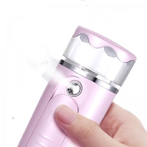 Nano Sprayer Face Steamer Увлажнитель для лица Мини-распыление Увлажняющий увлажняющий USB Аккумуляторный косметологический прибор для уход...