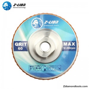 Алюминиевые 5-дюймовые алмазные шлифовальные диски ZL-WMCY02 с резьбой
