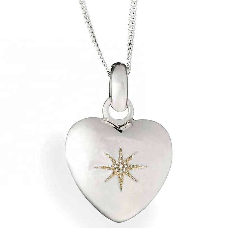 Ожерелье кремации Кулон в форме сердца из стерлингового серебра 925 пробы Кулон из циркония Ожерелье в форме сердца