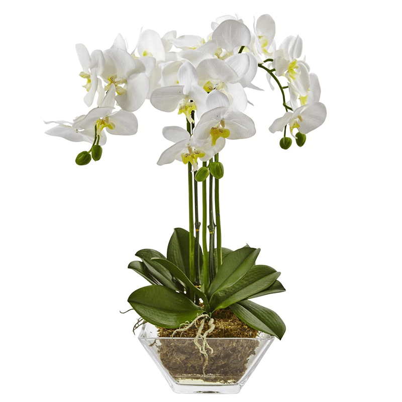 штат Огайо - 200001