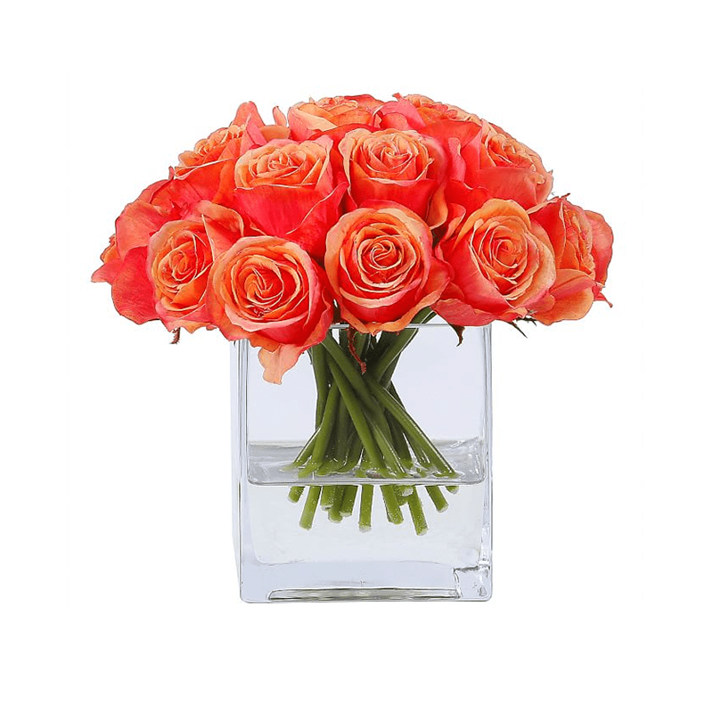 штат Огайо - 200029