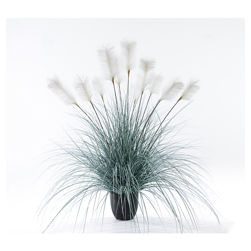 OH1090200017 / OH1090200018