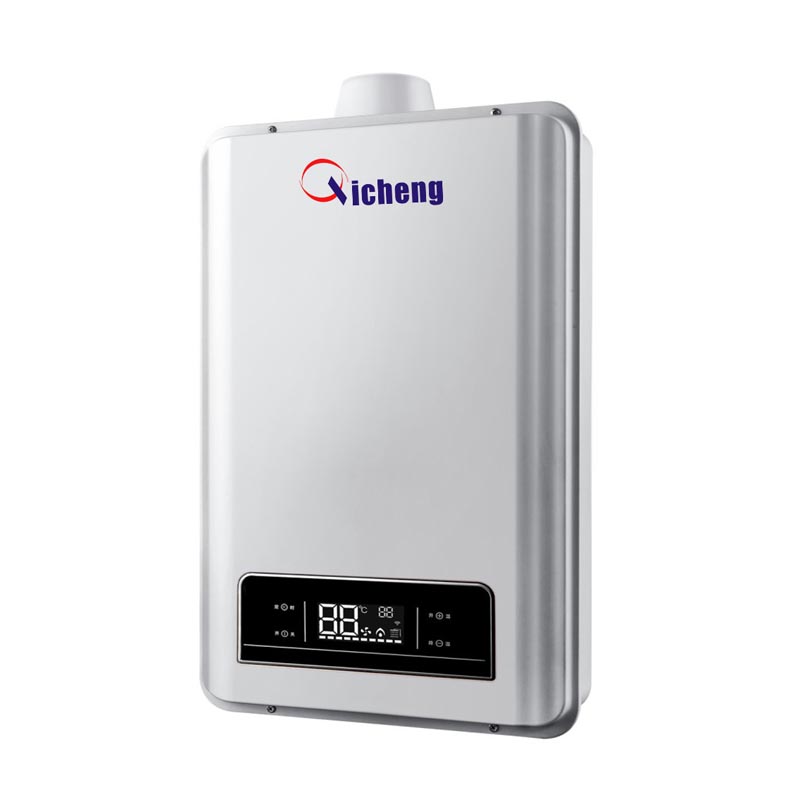 OEM бренд 10L термостат принудительный газовый водонагреватель