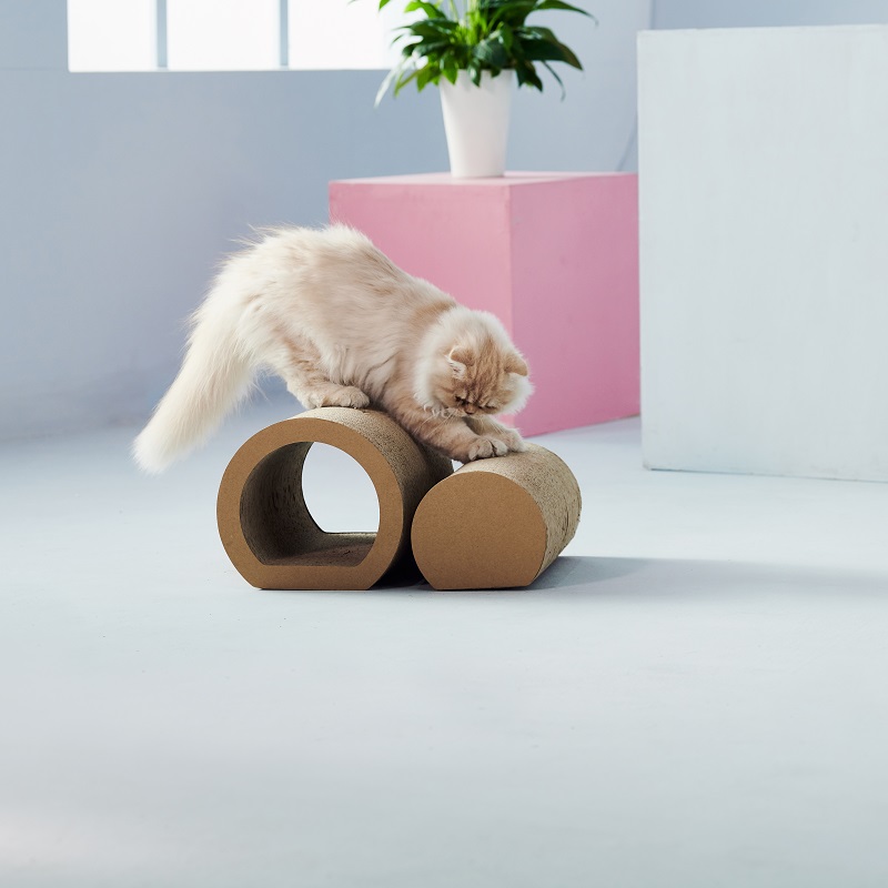 кошачий захват 2