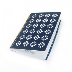 книга с полой обложкой