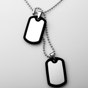 Ожерелье с подвеской из нержавеющей стали с двойным кремнием