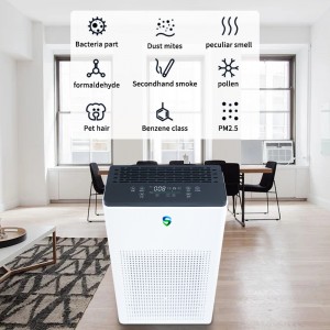 двойной очиститель (активная очистка + пассивная очистка)