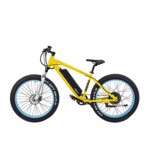 Название продукта S1-X1