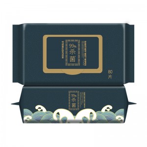 Antibacterial Wipes OPDS-782