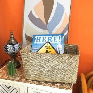 Коробка для хранения водорослей