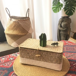 Морской водоросли с крытым хранением