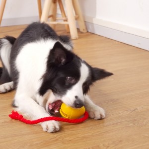 Резина утечка закусочной игрушки