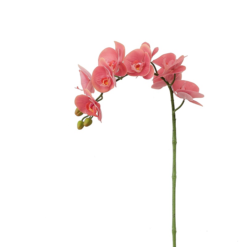 Высококачественная реальная коснутая одиночная филиала искусственная орхидея для продажи