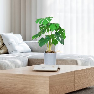 Фабрика непосредственно поставка горячей продажи искусственный зеленый декоративный с красивым и настоящим прикосновенным чув...