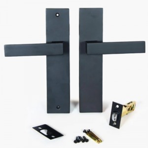 6203 Современный сплав с сплава цинк входной ручки заподры