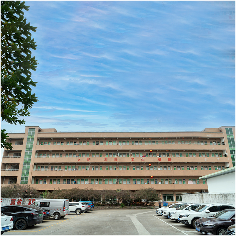 Как выглядит завод пресс-формы в инъекции в ваших глазах?