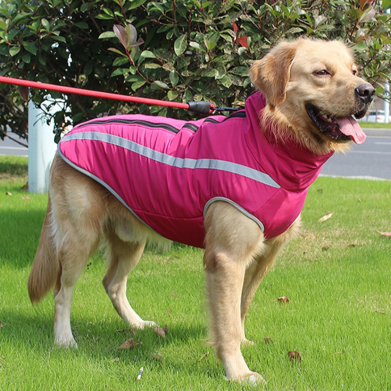 Продавец Amazon Top Personal Personalized Dog жгут для собак Обратное дыхание для средних и больших собак