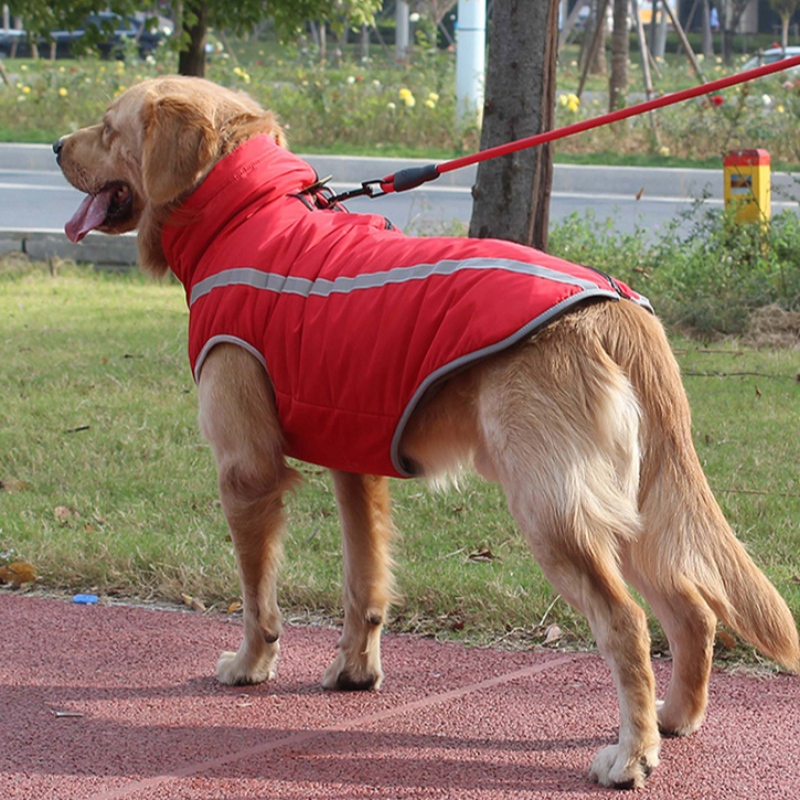Продавец Amazon Top Personal Personalized Dog жгут для собак Обратное дыхание для средних и больших собак