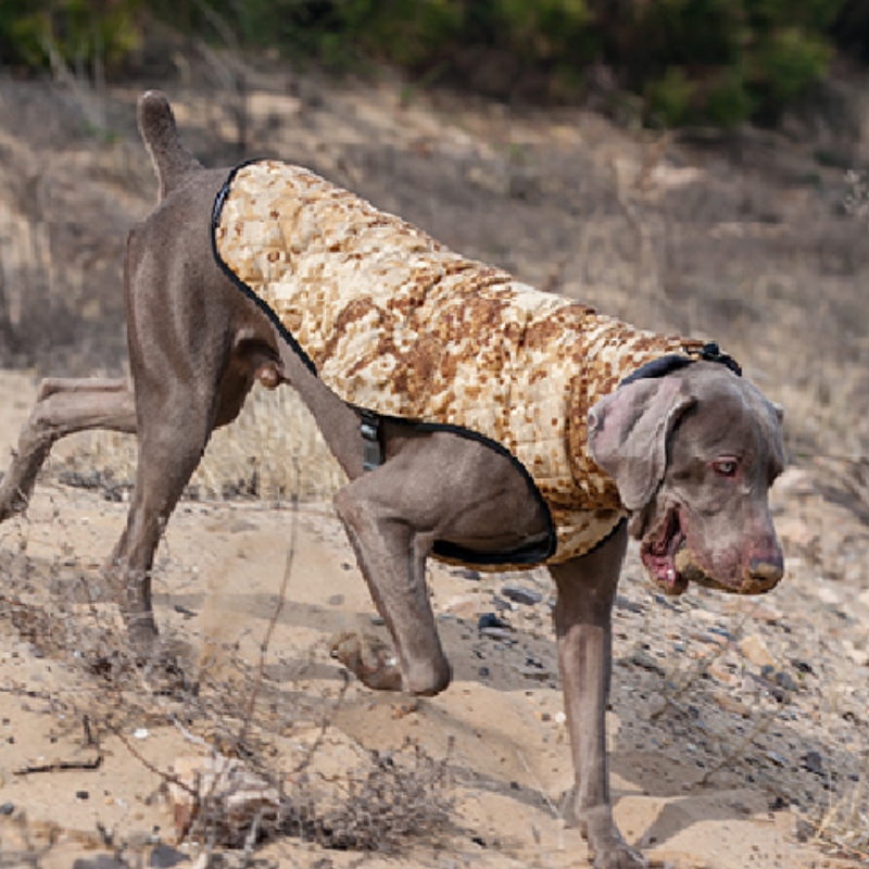 Amazon горячая распродажа новая домашняя одежда собака одежда осенью и зимой утолщенный упругий свитер питомца свитер